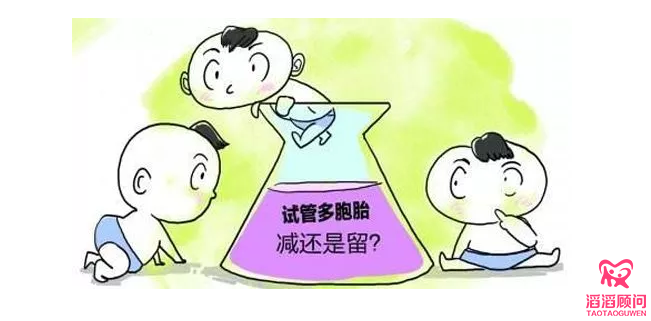 胚胎越多越好？關(guān)于減胎的那些事兒胚胎越多越好？關(guān)于減胎的那些事兒