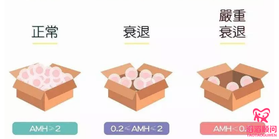 AMH是個(gè)啥？為什么人人都要查？