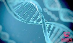 試管嬰兒取卵后很久不來(lái)月經(jīng)是什么因素？