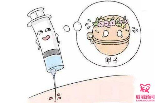 俄羅斯試管
