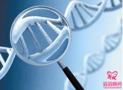 俄羅斯試管嬰兒中介機構哪家好？