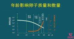 試管嬰兒前卵巢評估有什么用？