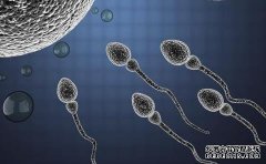 爸爸節(jié)特輯:爸爸媽媽誰的基因更加強大?