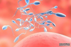 男人精子能吃嗎?