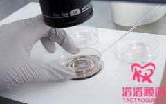 試管嬰兒會(huì)不會(huì)搞錯(cuò)父母?