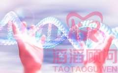 試管嬰兒取卵后防止腹水吃什么食物好