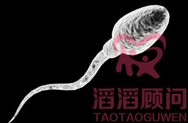 港男精子質(zhì)量差,不良生活習(xí)慣將致不孕不育