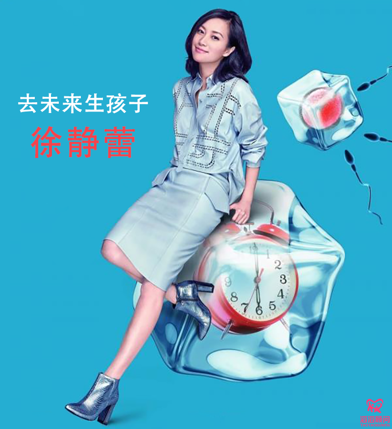 徐靜蕾冷凍卵子