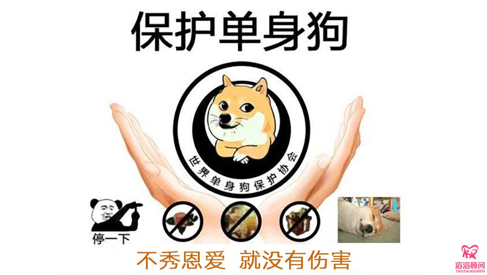 單身狗