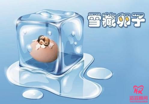 冷凍卵子