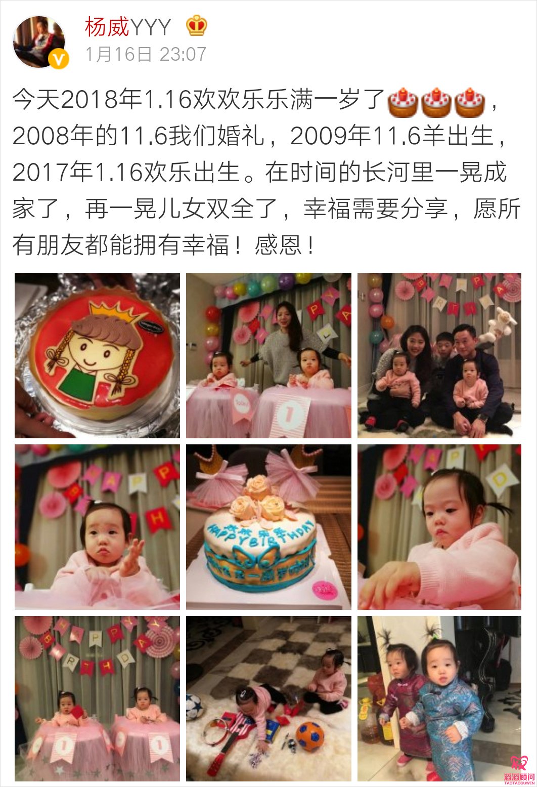 楊威雙胞胎女兒試管