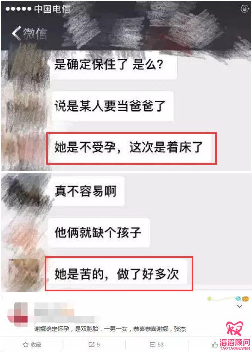 謝娜誕下雙胞胎女兒