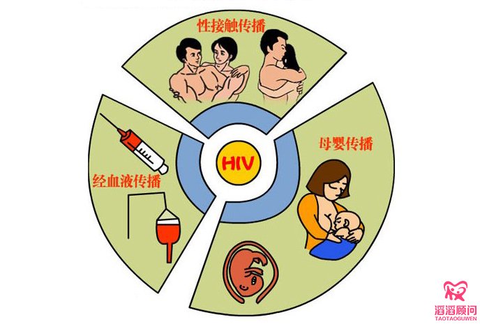 艾滋病傳播途徑