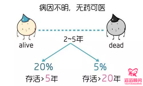史蒂芬霍金