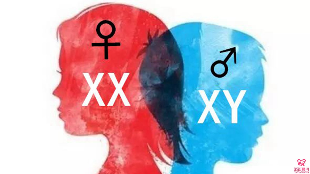 夢見蛇生男孩，夢見蜘蛛生女孩，真的嗎？