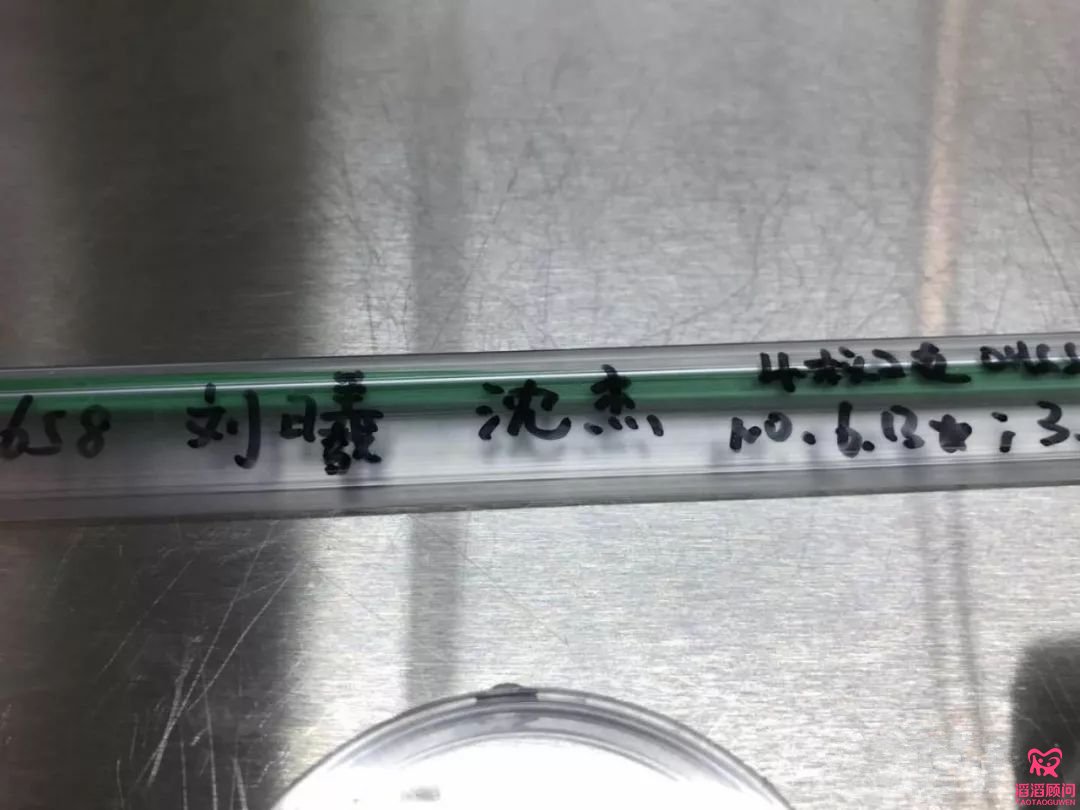 夫妻車禍去世，冷凍胚胎成失獨老人的**后希望！