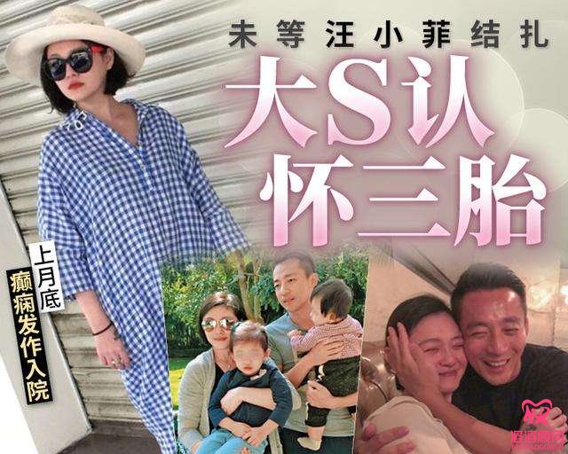 大S懷三胎