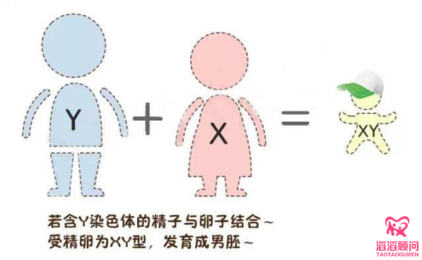 要個(gè)女兒有多難？這對美國夫婦連生了14個(gè)兒子！
