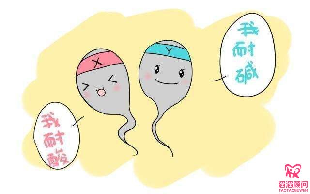 吃“堿孕寶”生男孩？這個生男孩的坑別再跳了！