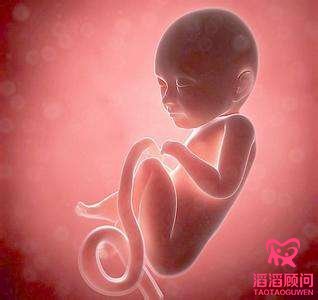 試管嬰兒