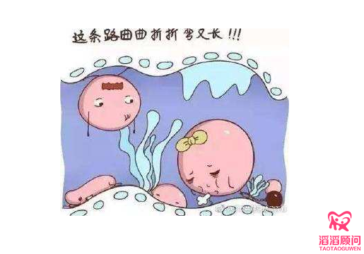 俄羅斯試管嬰兒