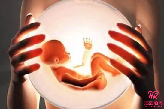 俄羅斯試管嬰兒