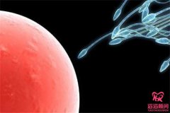 俄羅斯做試管嬰兒成功率有多少，與哪些因素有關？
