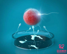 試管嬰兒精子質(zhì)量不好可以做嗎？