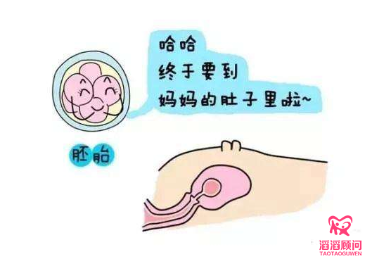 俄羅斯試管嬰兒