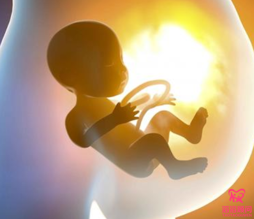俄羅斯試管嬰兒
