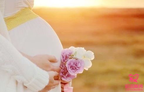 俄羅斯試管嬰兒