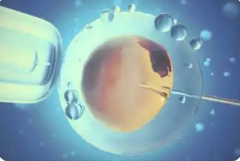第三代試管嬰兒成功率有多大？