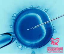 內(nèi)膜血流不好影響三代試管成功率，這4種方法可以改善！