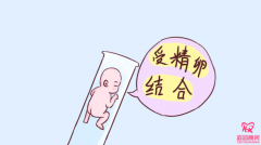 吉爾吉斯斯坦的國外輔助生殖貴嗎？費用解析及實用建議